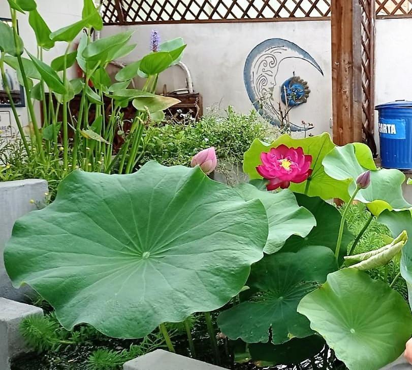 B&B Luna Blu Carbonia Εξωτερικό φωτογραφία